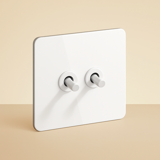 matte white steel 2-gang light switch