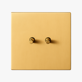 brushed gold steel 2-gang light switch