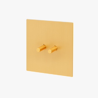 brushed gold steel 2-gang light switch