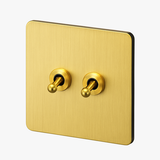 brushed gold steel 2-gang light switch