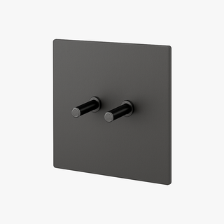 dark brushed grey steel 2-gang light switch