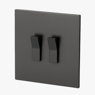 dark brushed grey steel 2-gang light switch