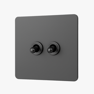 dark brushed grey steel 2-gang light switch