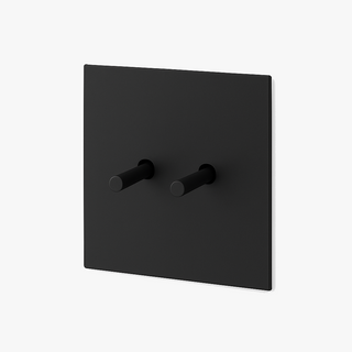 brushed black steel 2-gang light switch