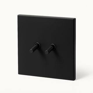 matte black steel 2-gang light switch