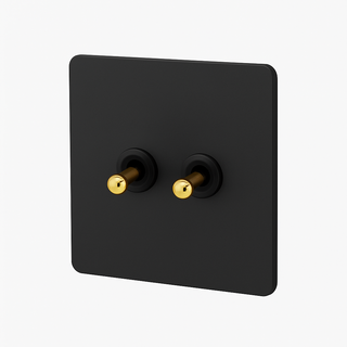 matte black steel 2-gang light switch
