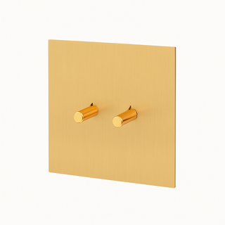 brushed gold steel 2-gang intermediate light switch