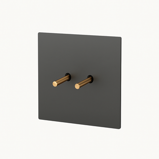 brushed grey & gold steel 2-gang intermediate light switch