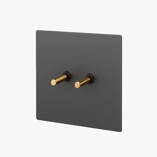 brushed grey & gold steel 2-gang light switch