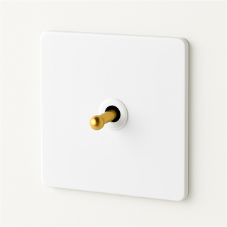 matte white & gold steel 1-gang light switch