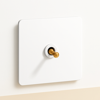 matte white & gold steel 1-gang light switch