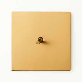 brushed gold steel 1-gang light switch