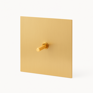 brushed gold steel 1-gang light switch