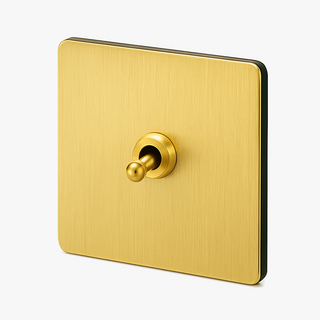 brushed gold steel 1-gang light switch