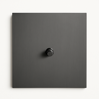 dark brushed grey steel 1-gang light switch