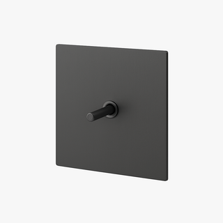 dark brushed grey steel 1-gang light switch
