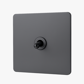 dark brushed grey steel 1-gang light switch