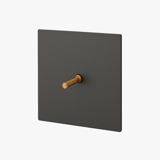 brushed grey & gold steel 1-gang intermediate light switch