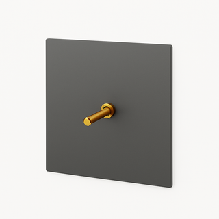 brushed grey & gold steel 1-gang light switch