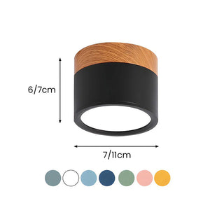 Mini Cylinder Ceiling Light - Aluminum Modern Flush Mount LED Fixture