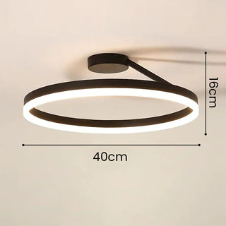 Nordic LED Ceiling Light – Modern Circle Lamp With Adjustable Brightness