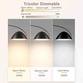 FIHEL black arc floor lamp – arched ceiling view