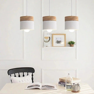 FERLER Scandinavian Hanging Lamp – Nordic Minimalist Pendant Light