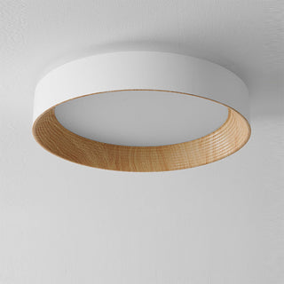 Energy efficient modern metal ceiling light, flat LED panel