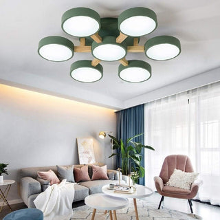 Acrylic Ceiling Light – Modern Multi-Head Fixture with Diffused Acrylic Heads