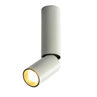 LED Spotlight Ceiling Light – Adjustable Multi-Spot Track Lighting Fixture