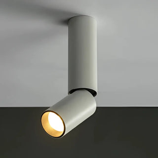 DARITUS LED Minimalist Spotlight Ceiling Light – Modern Multi-Spot Track Fixture
