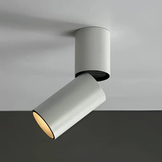 DARITUS LED Minimalist Spotlight Ceiling Light – Modern Multi-Spot Track Fixture