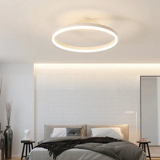 Modern circle Nordic ceiling light, LED adjustable brightness