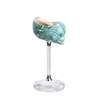 natural conch shell goblet