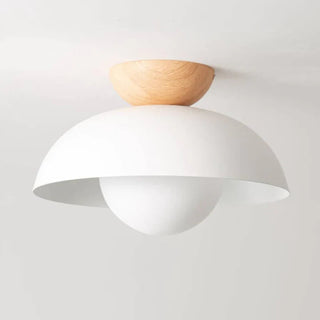 Eco-Friendly Metal Ceiling Light - Minimalist Modern Semi-Flush Mount Lamp