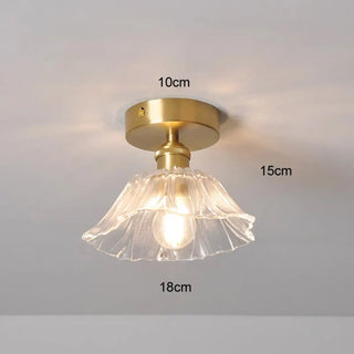 GALOIPA Compact Elegant Glass Vintage Ceiling Light
