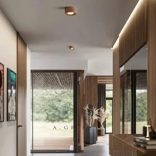 MIDDLES LED Compact Triple Spot Hallway Ceiling Light