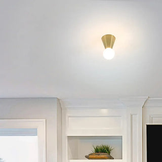 ROLA Minimalist Brushed Brass Ceiling Light – Refined Contemporary Fixture