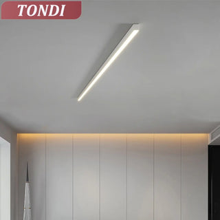 LINA LED Linear Recessed Minimalist Ceiling Light