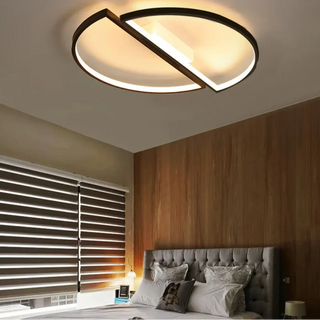 DRUTYPE LED Circle Modern Ceiling Light – Black and White Contemporary Fixture
