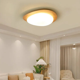 DACOZY LED Modern Cozy Ceiling Light – Warm Living Room or Bedroom Fixture