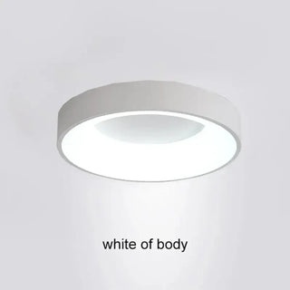 FINO LED Round Ultra-Thin Modern Multicolored Ceiling Light – view 5