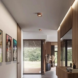 SOBISE Natural Minimalist LED Ceiling Light – Organic Contemporary Fixture