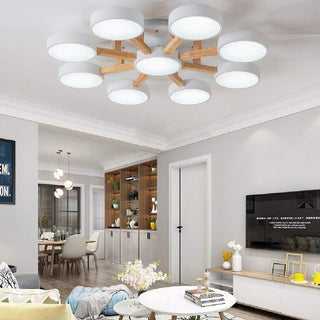 Acrylic Ceiling Light – Modern Multi-Head Fixture with Diffused Acrylic Heads