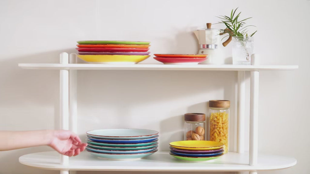 Hand-Painted Multicolour Ceramic Dinner Plates