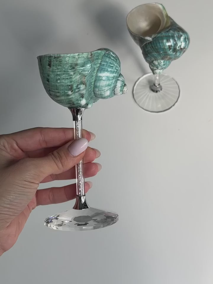 natural shell wine glass decor