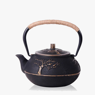 japanese cast iron teapot with infuser