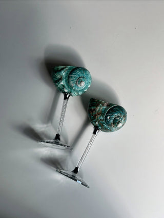 shell goblet home decor