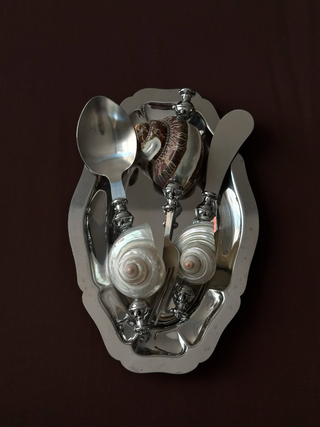 stainless steel knife with seashell handle