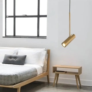 DOUJERI Modern Gilded Elegance Ceiling Light – view 1